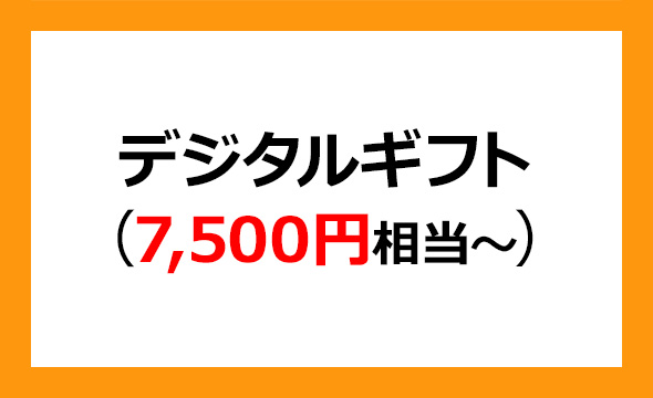 ラクーンホールディングスの株主優待