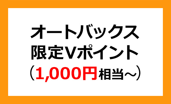ショッピングオートバックス株主優待（13000円分） - ショッピング